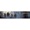 Symbaroum: Gamemaster's Screen