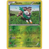 XY Base Set 18/146 Skiddo (Reverse Holo)