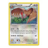 XY Phantom Forces 79/119 Fearow