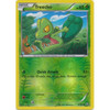 XY Primal Clash 6/160 Treecko (Reverse Holo)