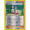 XY Primal Clash 141/160 Teammates (Reverse Holo)