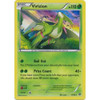 XY Ancient Origins 012/98  Virizion (Holo)