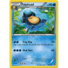 XY BREAKpoint 34/122 Palpitoad