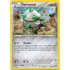 XY BREAKpoint 79/122 Ferroseed