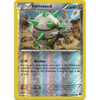 XY BREAKpoint 79/122 Ferroseed (Reverse Holo)