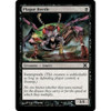 Plague Beetle (foil)