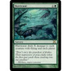 Hurricane (foil)