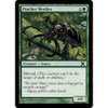 Pincher Beetles (foil)