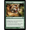 Stalking Tiger (foil)