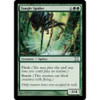 Tangle Spider (foil)