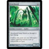 Arachnoid (foil)