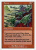 Fervor (foil)