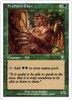 Fyndhorn Elder (foil)