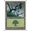 Forest (#331) (foil) | 7th Edition