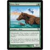 River Bear (foil)