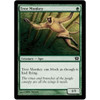 Tree Monkey (foil)