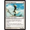 Kitesail Apprentice (foil)