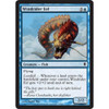 Windrider Eel (foil)