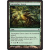 Turntimber Grove (foil) | Zendikar