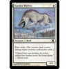 Tundra Wolves