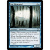 Fog Elemental