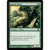 Spined Wurm