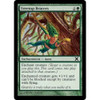 Treetop Bracers