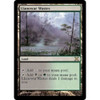 Llanowar Wastes
