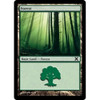 Forest (#381)