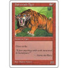 Sabretooth Tiger
