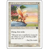 Ekundu Griffin