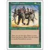 Trained Armodon