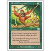 Uktabi Orangutan
