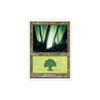 Forest (#330)