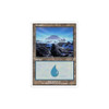 Island (#334)