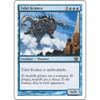 Tidal Kraken