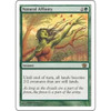 Natural Affinity | 8th Edition