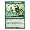 Silklash Spider