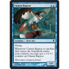 Umara Raptor