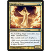 Meddling Mage