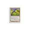 Freewind Falcon