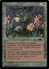 Argothian Pixies