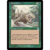 Momentum (foil)