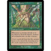 Treefolk Mystic