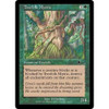Treefolk Mystic (foil) | Urza's Legacy