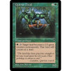 Quirion Druid