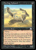 Circling Vultures