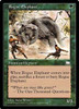 Rogue Elephant