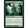 Druid of the Anima