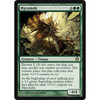 Mycoloth (foil)
